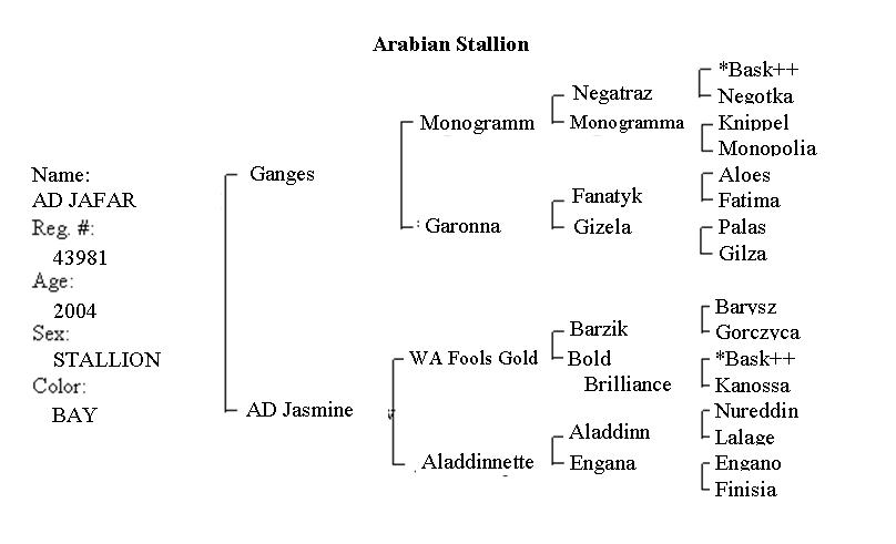 graph