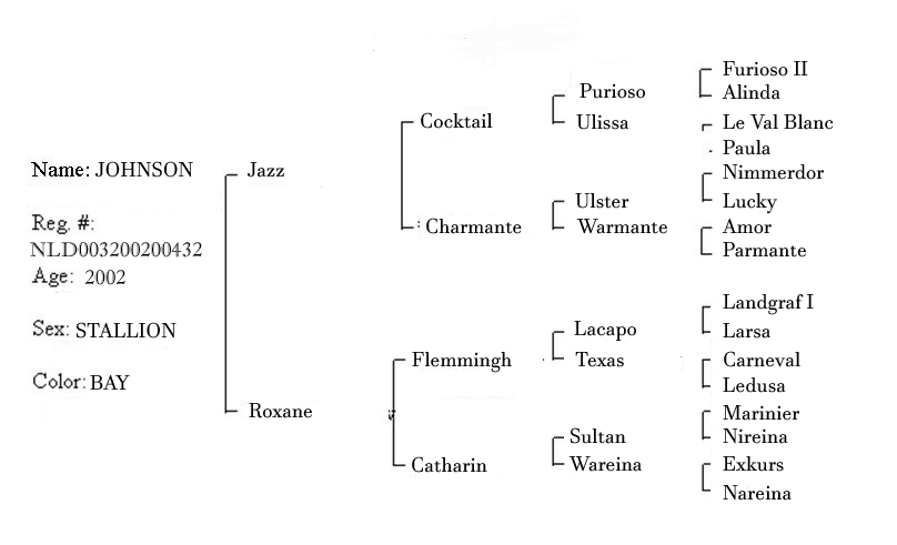 graph