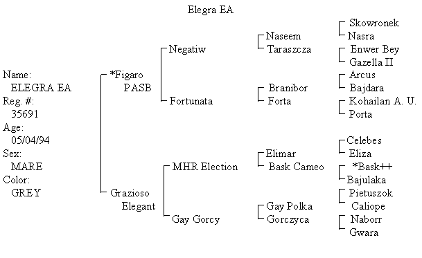 graph
