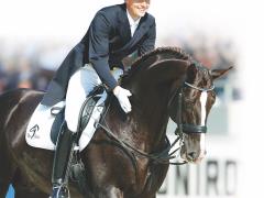 stallion photo