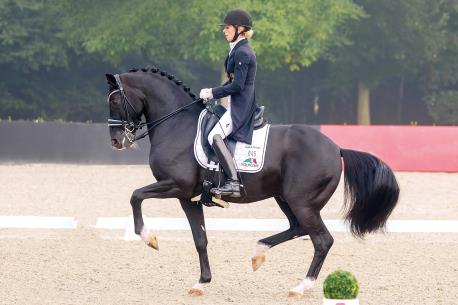 stallion photo
